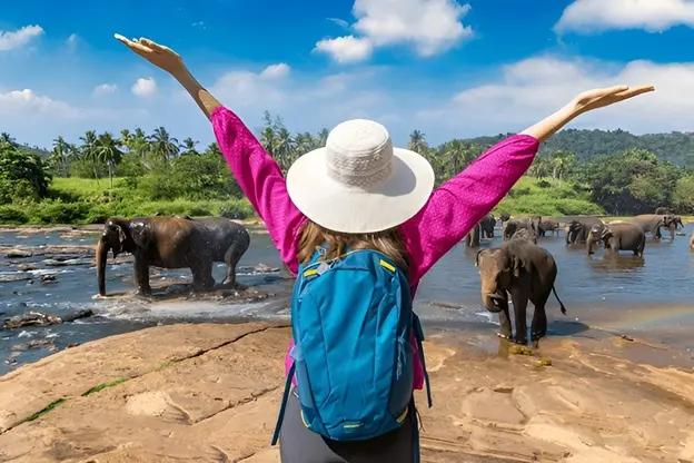First-Timer's Guide to Sri Lanka: Maximizing Your 4-Night, 5-Day Adventure