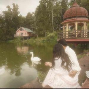 Hushed Into peace logo