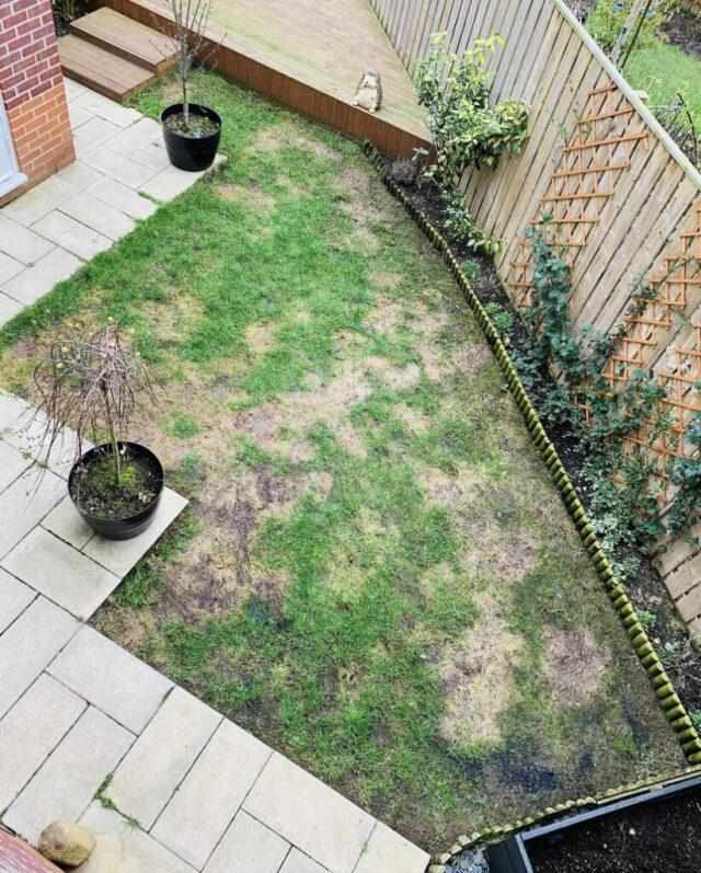Is Artificial Grass in Dundalk the Best Lawn Solution?
