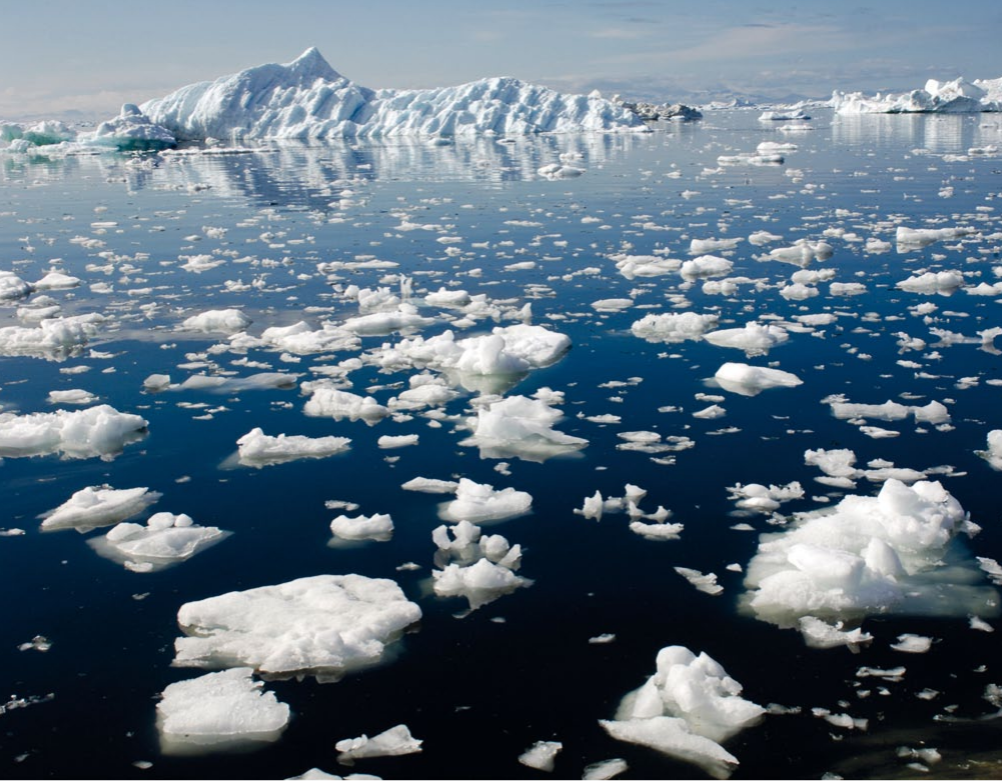 Environmental Sustainability