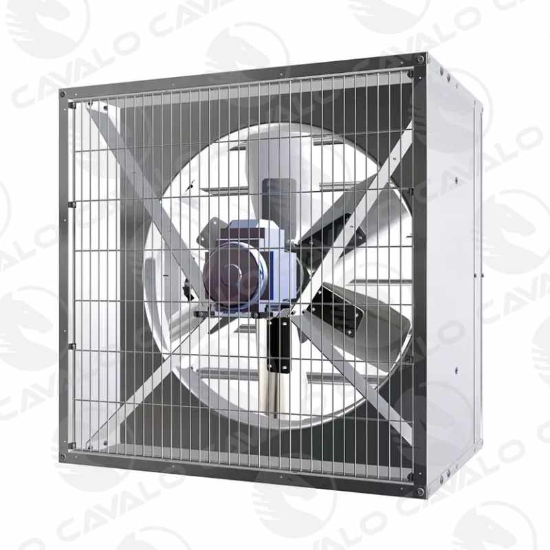 Belt Drive Exhaust Fan | Cavalotec