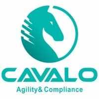 cacavalotec1122 logo