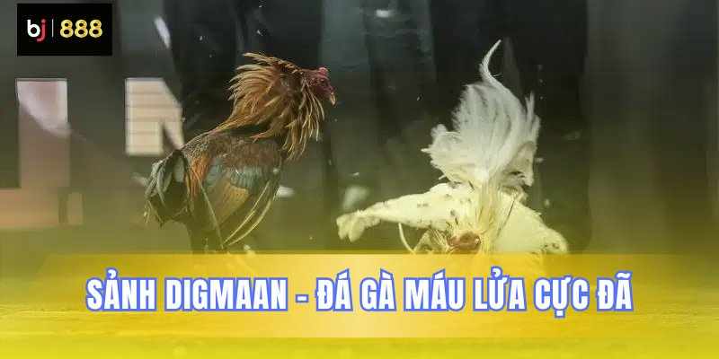 Sảnh Digmaan BJ888 Đấu Trường Đá Gà Trực Tuyến Số 1 Châu Á