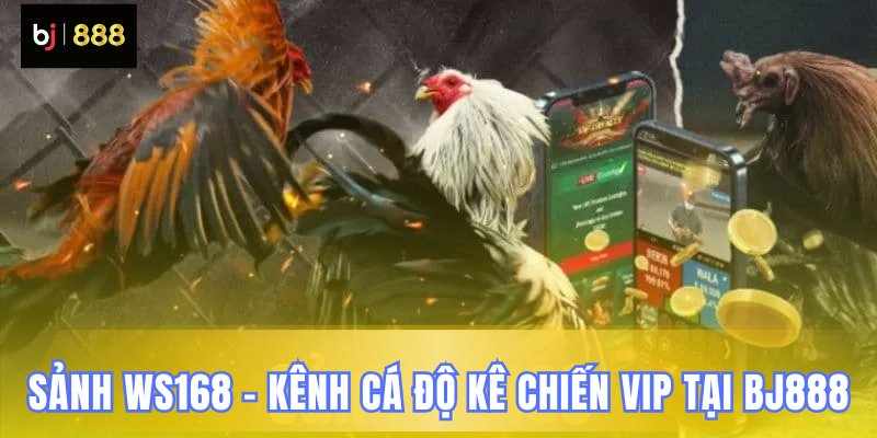 BJ888 » Sảnh WS168 Bj888 – Kênh Giải Trí Đặc Quyền Tỷ Lệ Ăn Vượt Trội