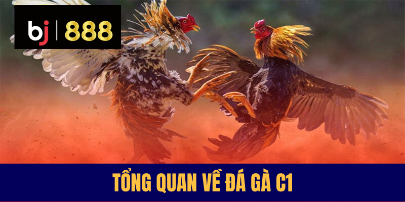 Đá gà C1 – Đón Xem Đại Chiến Kê Vương Đặt Cược Đỉnh Cao