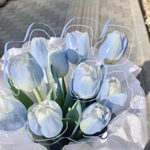 𝐃𝐄𝐃𝐈𝐂𝐀𝐓𝐈𝐎𝐍