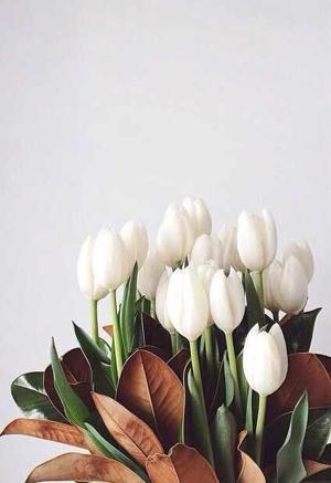 𝐂𝐇𝐀𝐏𝐓𝐄𝐑 𝟏𝟖