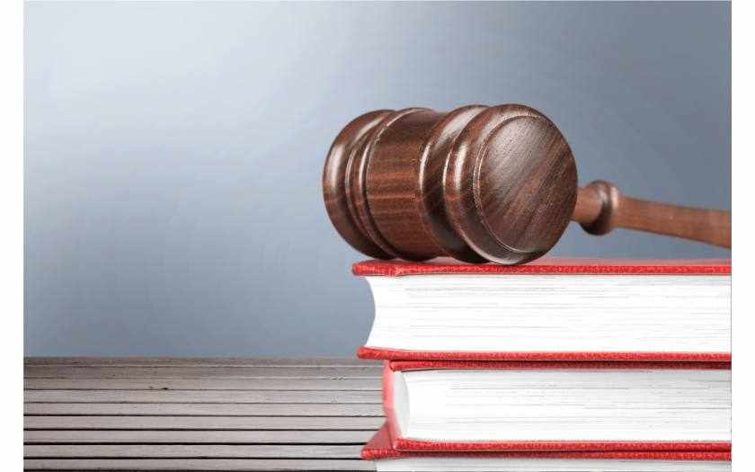 Tapambwa, A Case Interpreting Three Important Immigration Matters