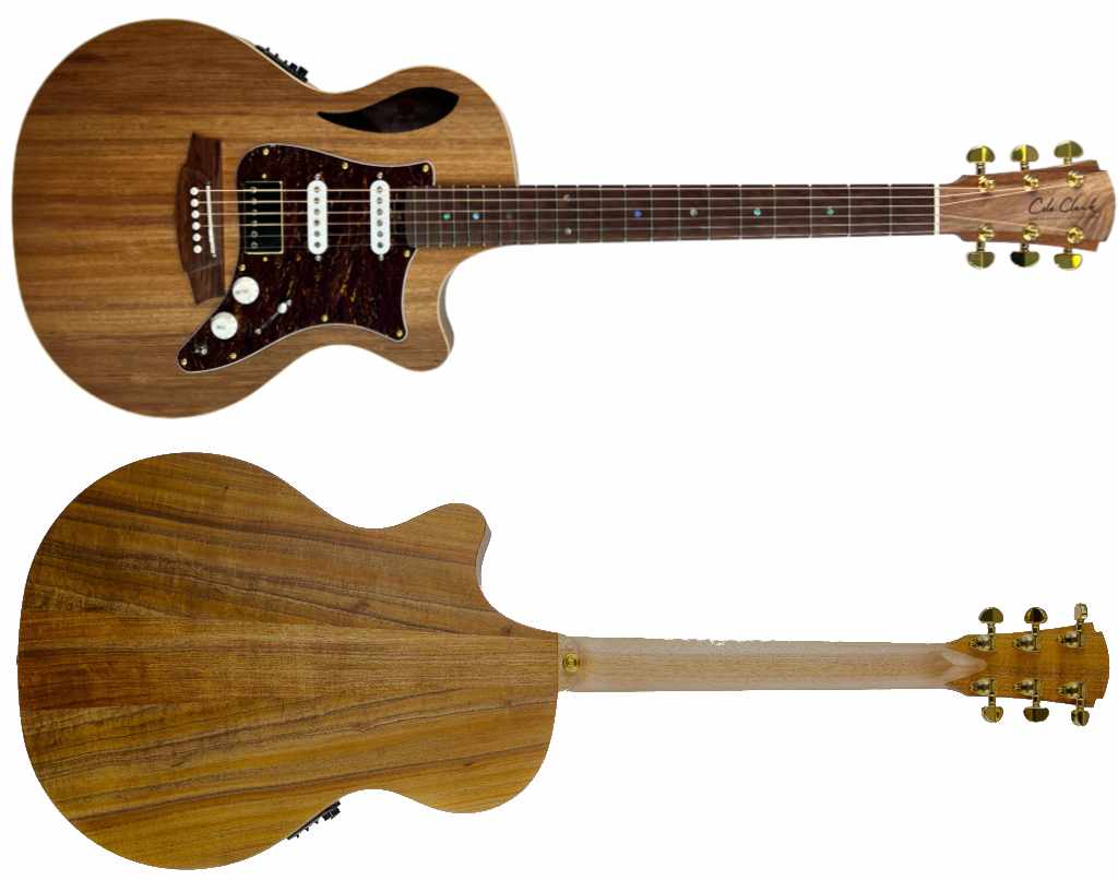 Guitar for Sale: Premium Sound, Low Price