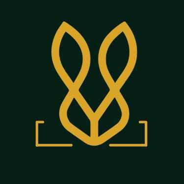 Non-Leather Formal Shoes: Stylish, Ethical, and Comfortable Alternatives