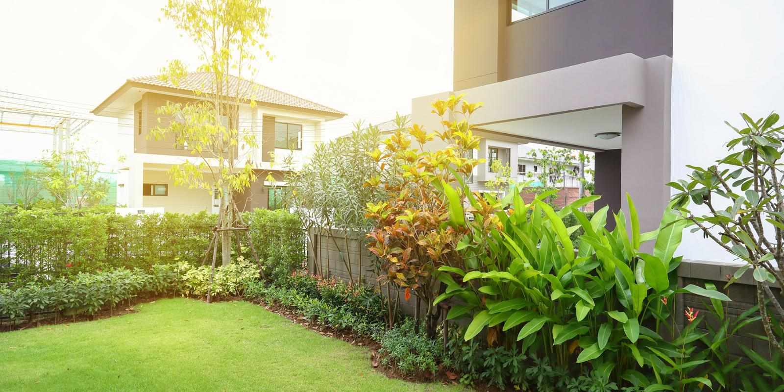 Top 7 Benefits of Hiring Landscaping Services for Vibrant Gardens All Year Round!