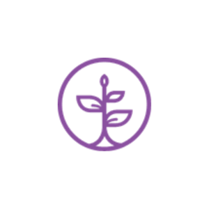 Attachment Styles in Relationships Quiz: Mapping Emotional Patterns