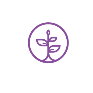 THE PERSONAL DEVELOPMENT SCHOOL logo