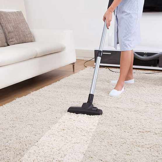 Amazing Carpet Cleaning & Pest Control Services