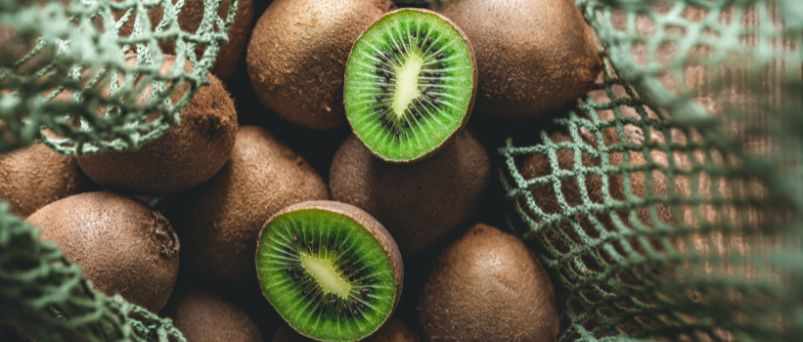 Top OGR – Your Partner in Kiwi Orchard Excellence and Innovation