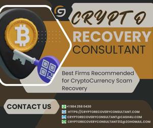 When All Else Failed, CRYPTO RECOVERY CONSULTANT Delivered