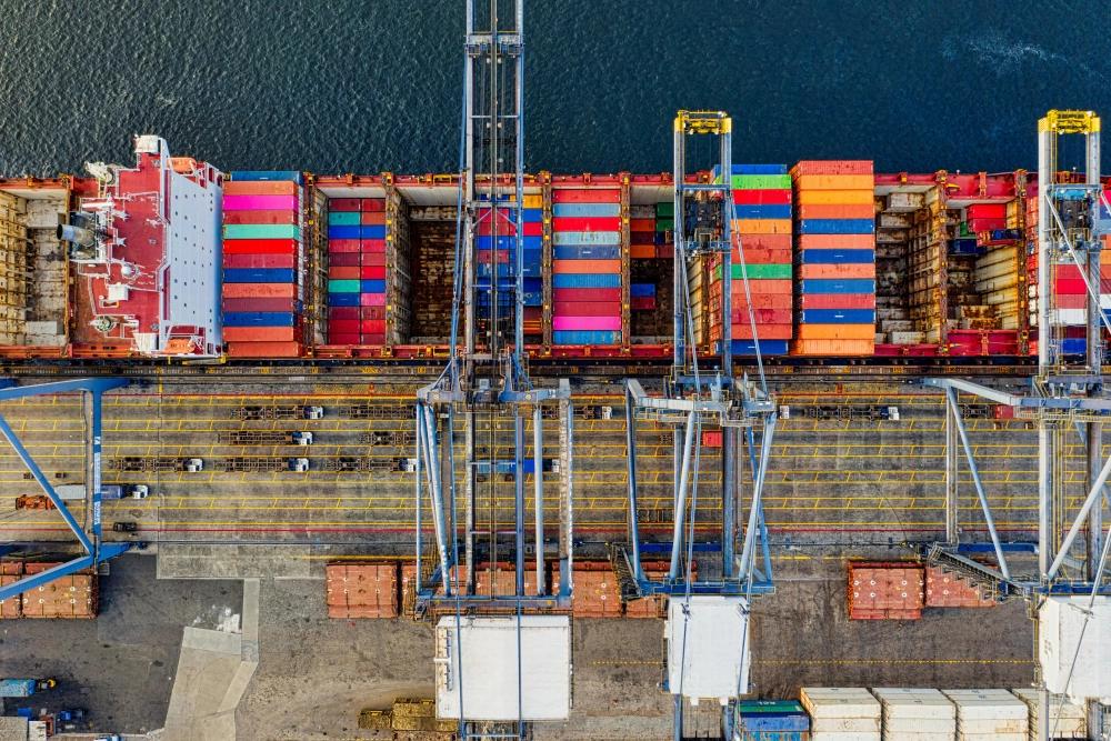 Why Smooth Customs and Document Clearance Is Crucial for Your Business