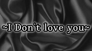 Chapter -13 I Don't Love you