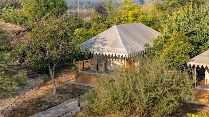 What Makes This the Top Luxury Resort in Sariska?
