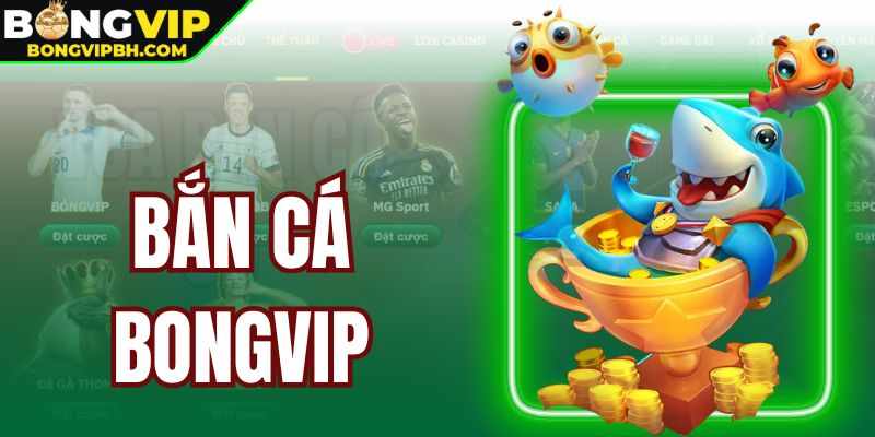 Ban ca bongvip