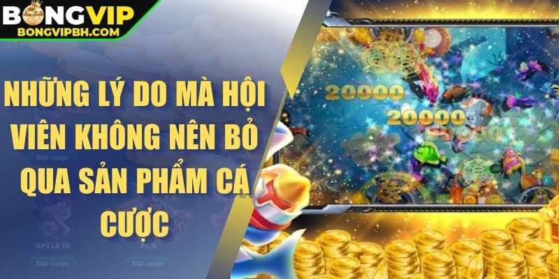 Những lý do mà hội viên không nên bỏ qua sản phẩm cá cược