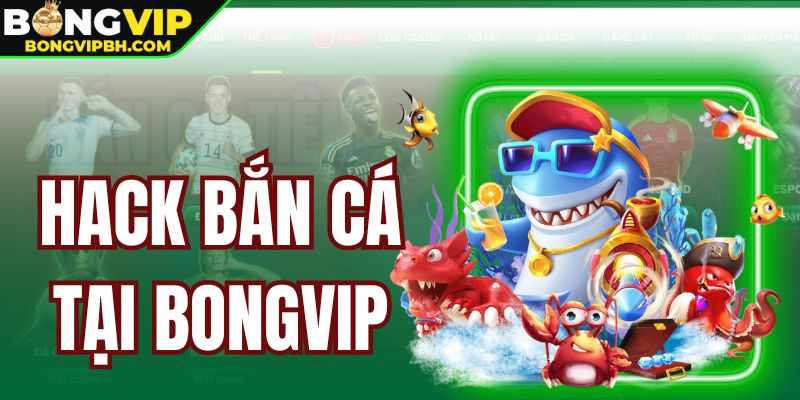 Hack Ban Ca Tai Bongvip – Cong Thuc De Thang Cho Hoi Vien