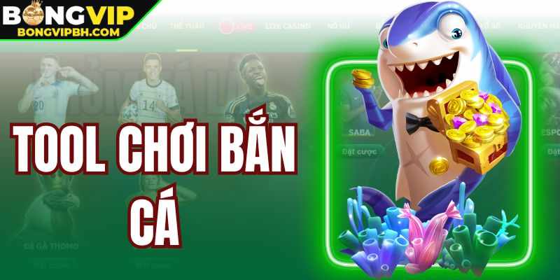 Tool Choi Ban Ca Bongvip – Cong Cu Ho Tro Cho Hoi Vien