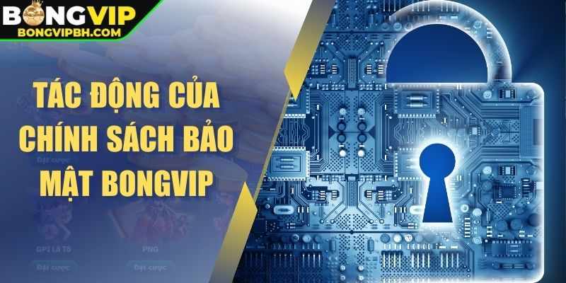 Chinh Sach Rieng Tu BONGVIP – Cam Ket An Toan Tuyet Doi Cho Nguoi Dung