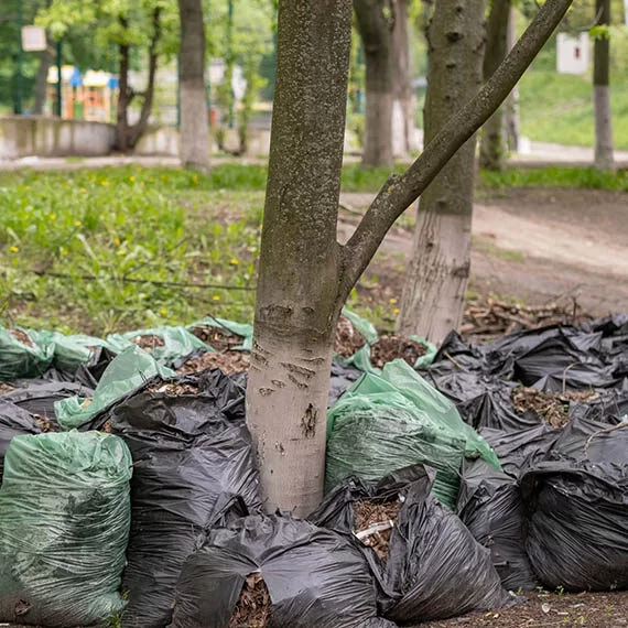 Melbourne Rubbish Removal – A Complete Guide to Safe and Responsible Disposal