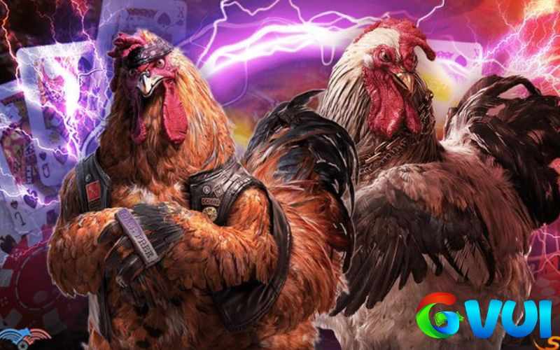 Hot Thomo Tại GVUI - Tổng Hợp Các Trận Gà Hay Hàng Ngày