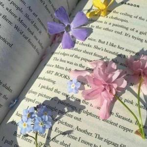 Chapter 7: Parvah