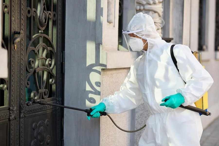 The Dangers of DIY Pest Control: Why Professional Help is Essential
