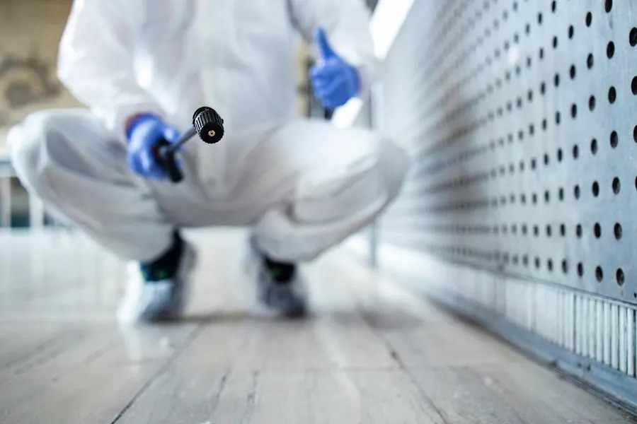 Signs of a Pest Infestation: When to Call a Pest Control Townsville Expert