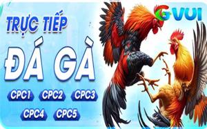 Đá Gà GVUI - Sân Chơi Đá Gà Trực Tuyến Được Yêu Thích Nhất Hiện Nay