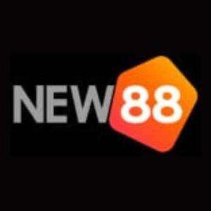 NEW88 – Trang web giải trí trực tuyến uy tín 