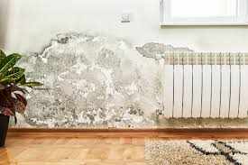 7 Wall Insulation Hacks for Maximum Savings