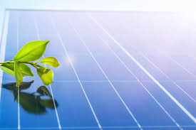 Environmental Benefits of Switching to Solar