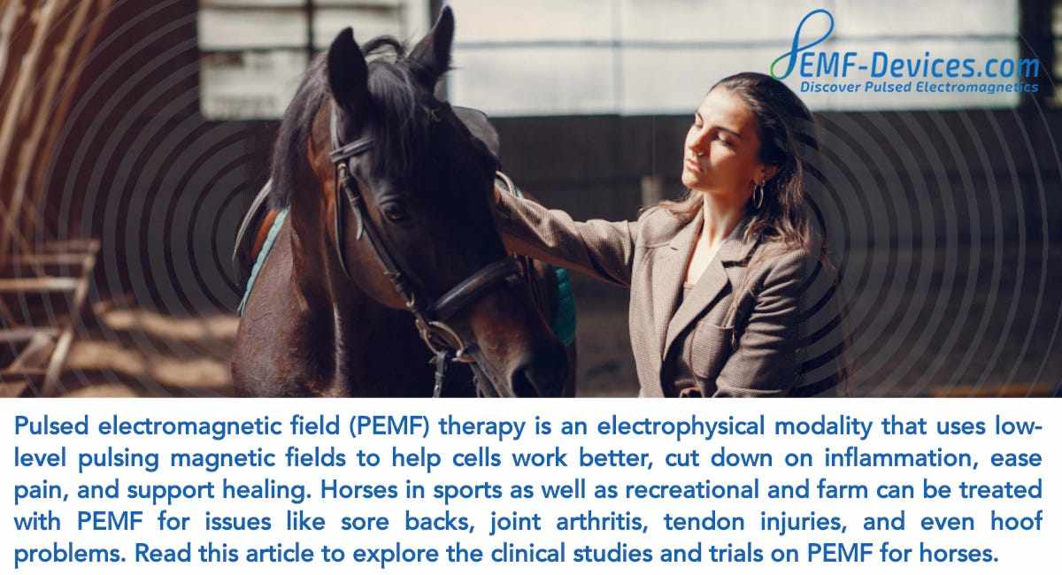 PEMF for Horses