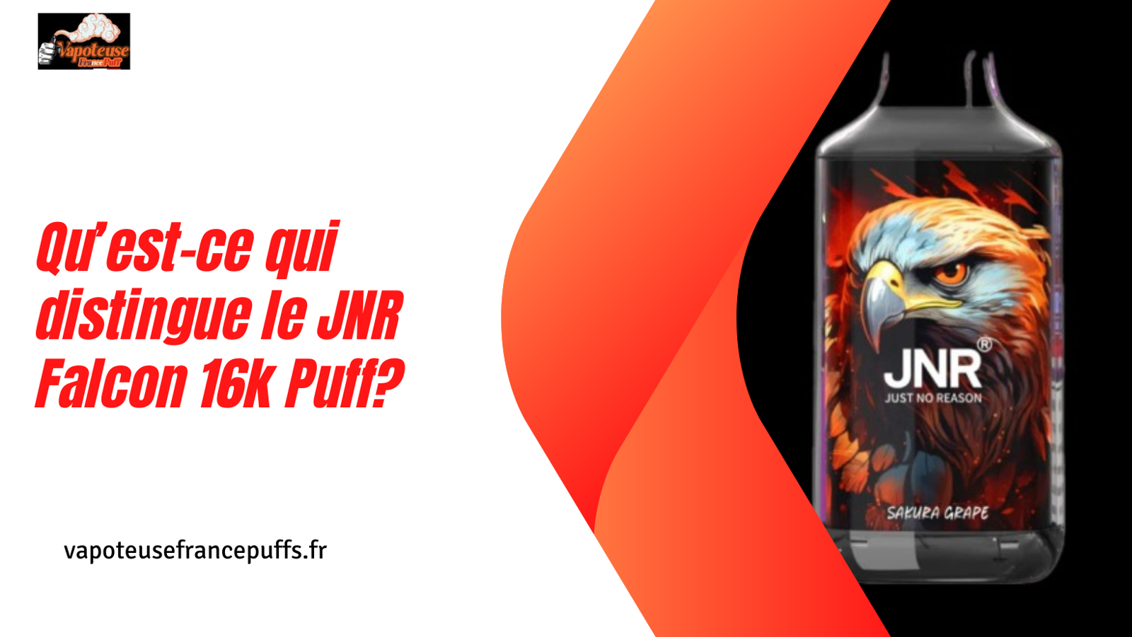 Qu’est-ce qui distingue le JNR Falcon 16k Puff?