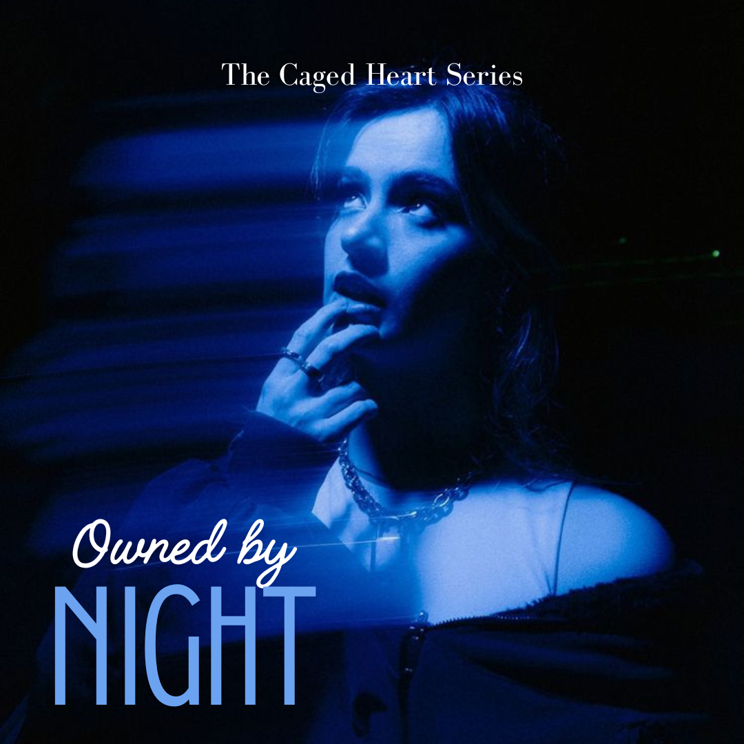 Owned by night