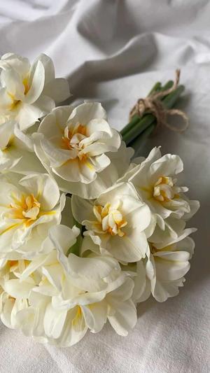 13. A Taste of Something Else