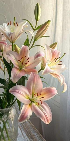 14. A Father's first Steps