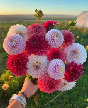 15. The Book on the Nightstand