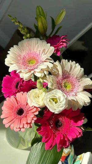 25. The Woman Before Me