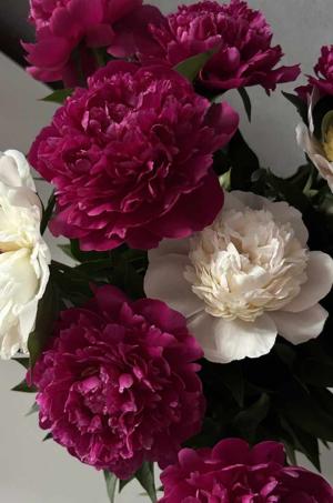 31. Petals and Pastries