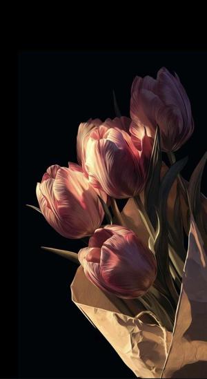 32. The Way Anirudh Loves