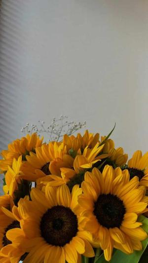 34. Gifts of the Heart