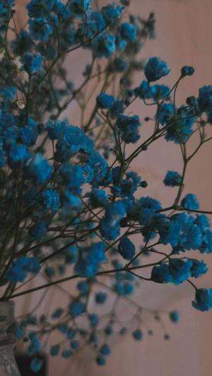 35. Morning Blessings