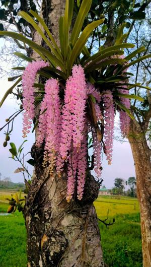 57. Becoming Us Again