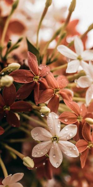 65. The Love I'd Choose Again